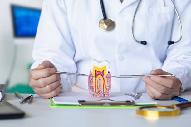 Best Broken or Cracked Tooth Emergency Dentist in Lindsborg, KS